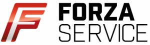 Forza Service -    !